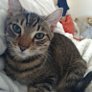 Meet your Posher, Wanda